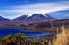 Las Vicuñas National Reserve, Guallatire