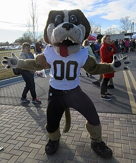 <span class="mw-page-title-main">Gumbo (mascot)</span> Mascot for the NFLs New Orleans Saints