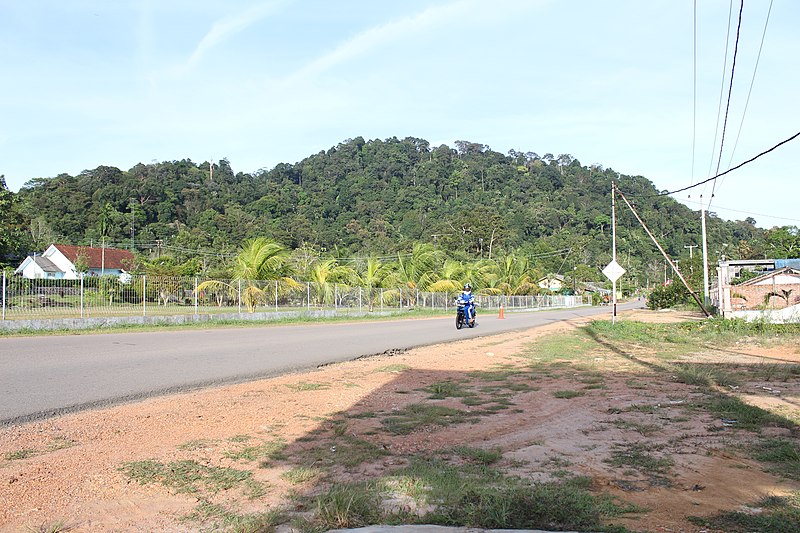 File:Gunung Demit - panoramio.jpg