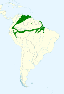 Gymnomystax mexicanus mapa.svg