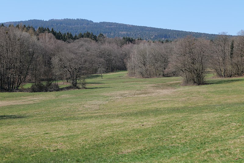 File:Hünerbergwiesen Oberursel 2020-03-25 04.jpg