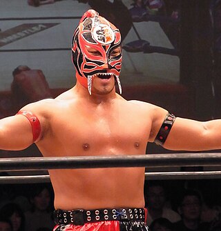 <span class="mw-page-title-main">Hub (wrestler)</span> Japanese professional wrestler