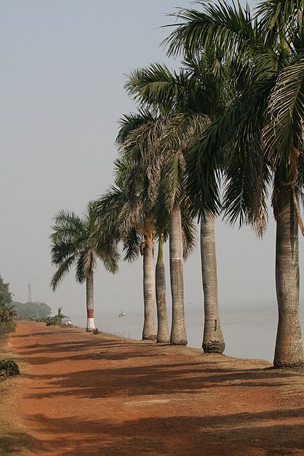 Haldia river bank