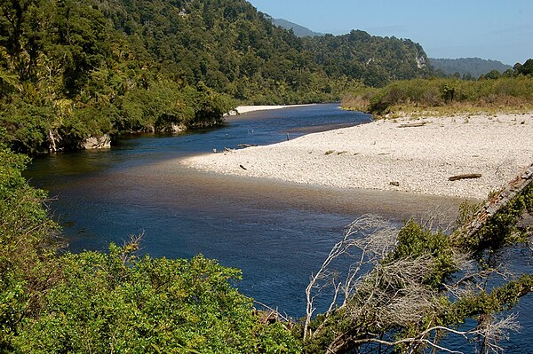 Sub-tropical vegetation along Heaphy River