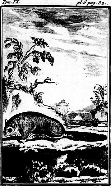 File:Histoire naturelle, générale et particulière (microforme) (1769) (20625011522).jpg