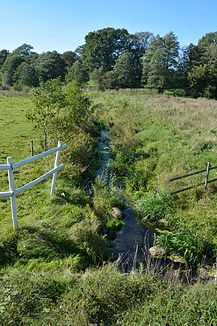 Der Besdorfer Bach am nördlichen Ortseingang von Holstenniendorf an der Landesstraße 131