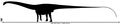 השוואת גודל של אדם ל-A. fragillimus