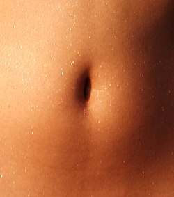 http://upload.wikimedia.org/wikipedia/commons/thumb/c/cf/Human_navel,_female.jpg/250px-Human_navel,_female.jpg