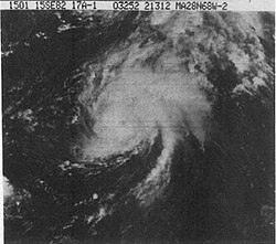 Illustrativt billede af artiklen Hurricane Debby (1982)