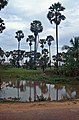 Landschaft in Angkor