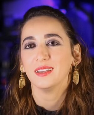 Jenan Moussa, Al Aan TV - Dec 19, 2016.jpg