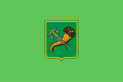 Kharkiv-town-flag.svg