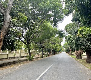 King Mirambo Avenue, Kitete Ward.jpg