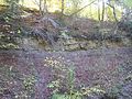 Late Triassic Steigerwald Formation and overlying Hassberge Formation in Schönbuch, Germany