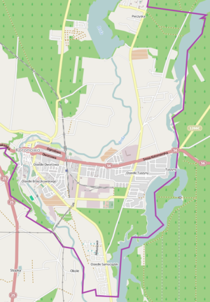 300px koronowo location map