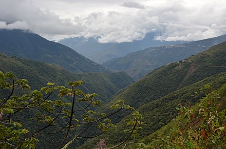 Province of Nor Yungas, near Coroico