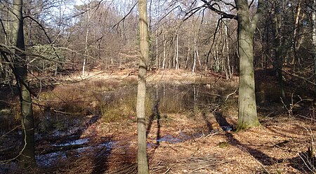 Kronenweiher 2019 02 17