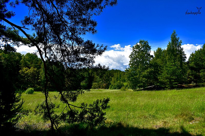 File:Långängens naturreservat 02.jpg