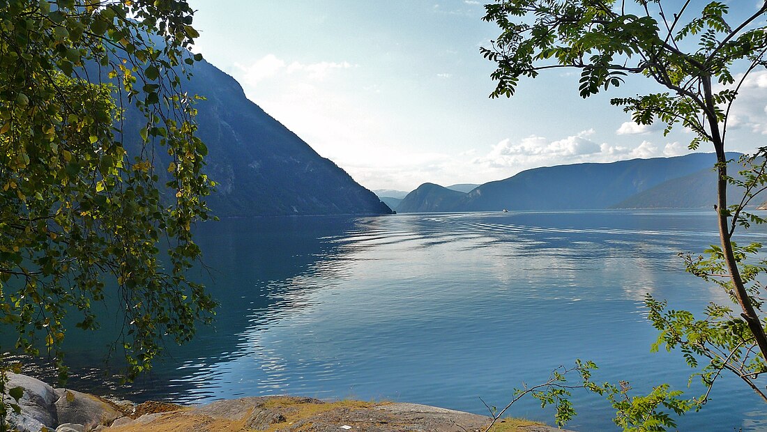 Lærdalsfjorden