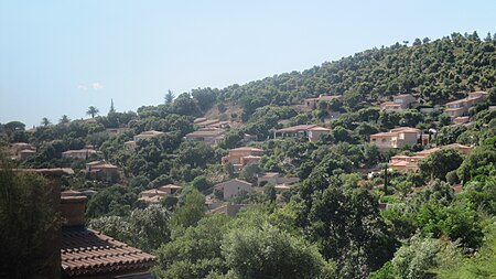 La Crau Vue d'ensemble