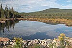 Vignette pour Forêt Montmorency