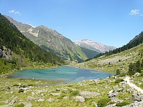 Illustratieve afbeelding van het artikel Lac de Suyen