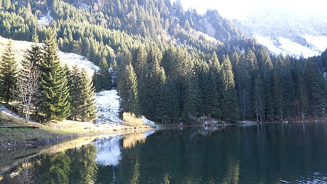 Il s'agit d'une vue du Lac des Plagnes depuis sa berge ouest