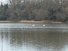 The old Lagan Navigational Canal (disused) at Broadwater, near Aghalee. (The disused canal used to be part of the River Lagan, but no longer. This gives the canal its name.)