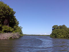 Laguna la Restinga.jpg