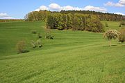 Landschaft Wehlgraben, Streuobstbäume