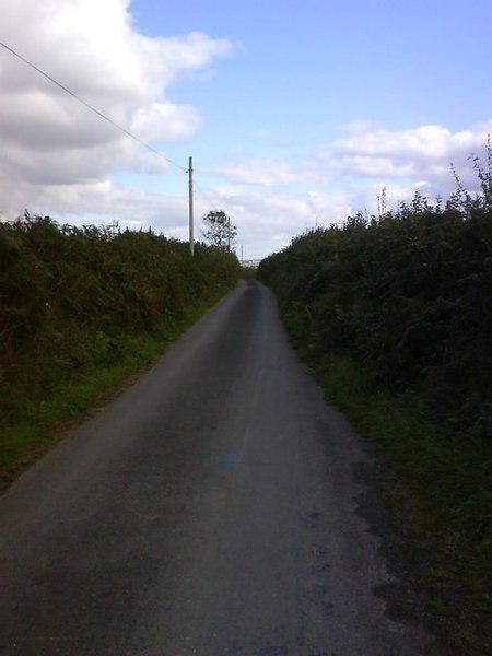 File:Lane near South Bray Fm - geograph.org.uk - 571849.jpg