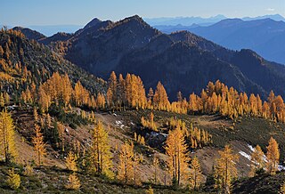 <span class="mw-page-title-main">Carne Mountain</span> Mountain in Washington (state), United States