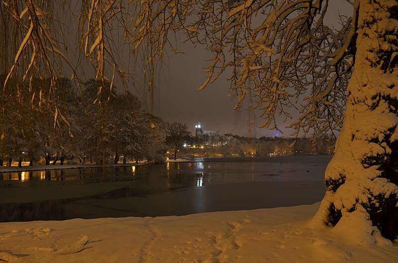 File:Lebenswertes chemnitz winter schlossteich schnee nacht.jpg