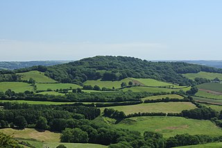 <span class="mw-page-title-main">Lewesdon Hill</span> Hill and hill fort in south west Dorset, England