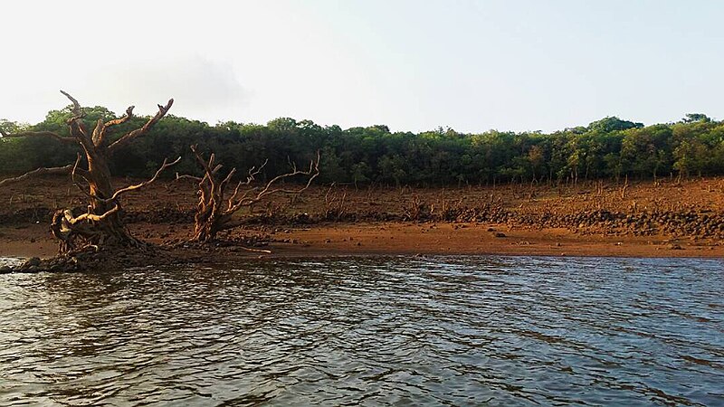 File:Mahabaleshwar venna lake.jpg