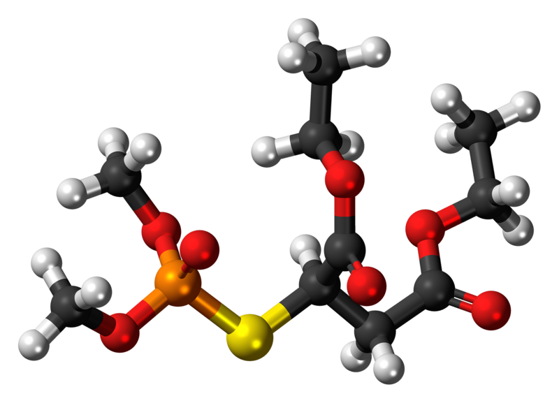 File:Malaoxon molecule ball.png