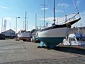 The marina occupying the Old Harbour