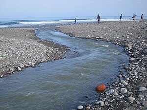 Estuary