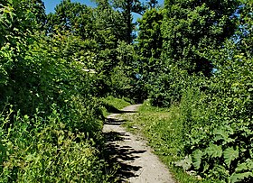 Park Maxa Aschmanna - panoramaio.jpg