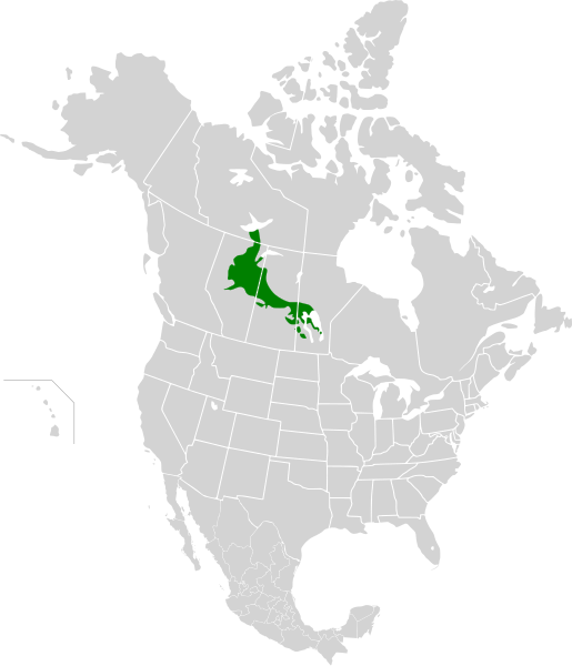 File:Mid-Continental Canadian forests map.svg