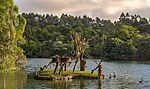 Thumbnail for File:Monkey Island in São Paulo Zoo, Brazil.jpg