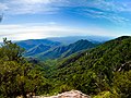 * Nomination Mount Halifax Summit in Paluma Range National Park, Queensland (by Tiaangobius20) --SHB2000 03:55, 21 December 2022 (UTC) * Promotion  Support Good quality. --XRay 04:24, 21 December 2022 (UTC)