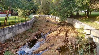 <span class="mw-page-title-main">Muckinipattis Creek</span>