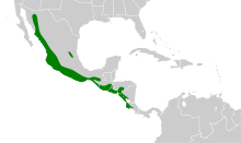 Myiarchus nuttingi map.svg