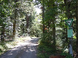 Forest path in the NSG Staufen coming from the direction of Walddorf (Altensteig)