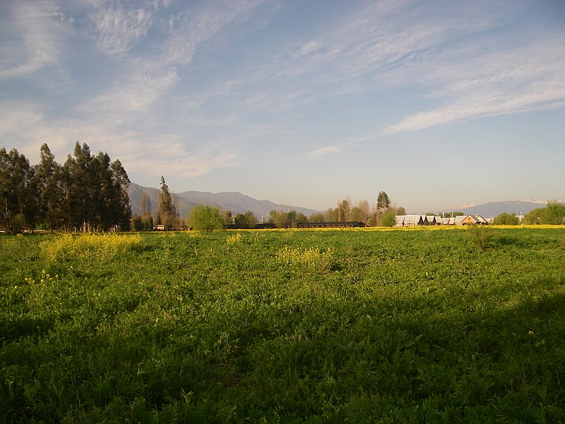 File:Nancagua. - panoramio.jpg