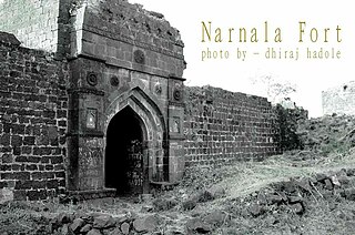<span class="mw-page-title-main">Narnala</span> Fort in India