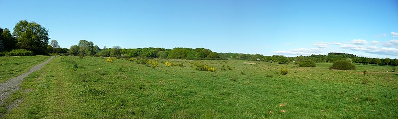 File:Naturschutzgebiet Kleine Lummersbach bei Cyriaxweimar Mai 2.JPG