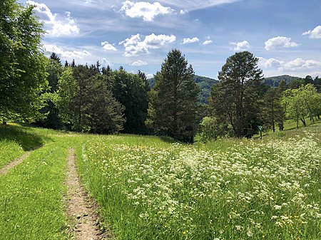 Naturschutzgebiet Scheibhalden, Oberdigisheim