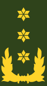 File:Nl-landmacht-luitenant generaal.svg